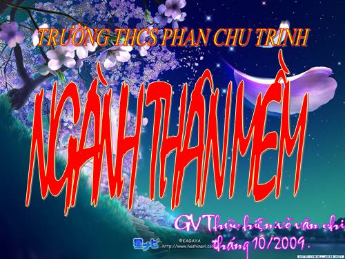 ngành thân mềm HOT đây!!!