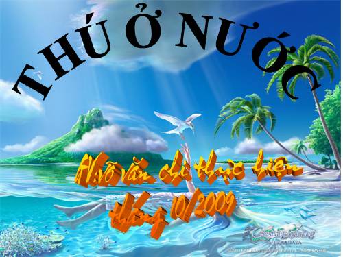 thú ở nước nè làm tư liệu tốt lắm đó!!!