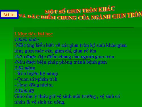 Bài 14. Một số giun tròn khác và đặc điểm chung của ngành Giun tròn