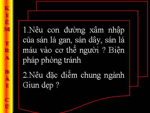 Bài 13. Giun đũa