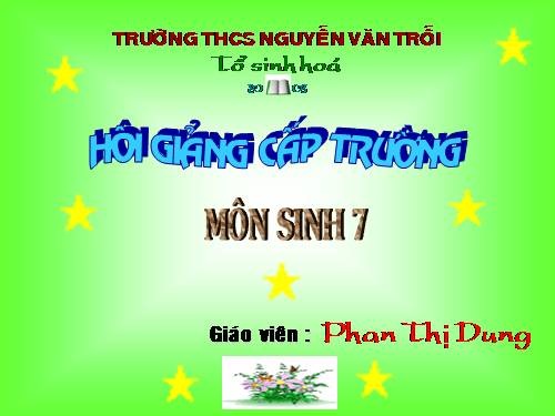 Bài 44. Đa dạng và đặc điểm chung của lớp Chim
