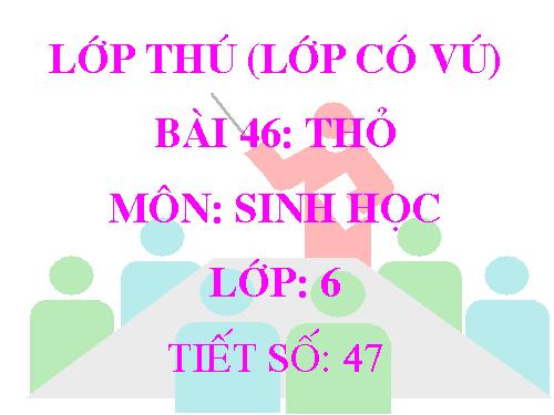 Bài 46. Thỏ