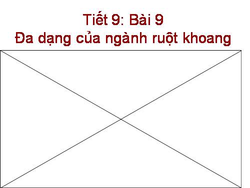 Bài 9. Đa dạng của ngành Ruột khoang