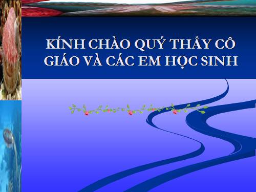 Bài 19. Một số thân mềm khác