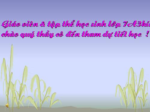 Bài 49. Đa dạng của lớp Thú: Bộ Dơi và bộ Cá voi