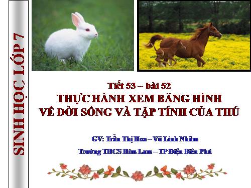 Bài 52. Thực hành: Xem băng hình về đời sống và tập tính của Thú