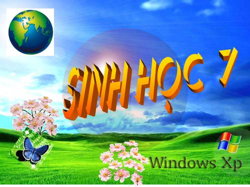 Bài 17. Một số giun đốt khác và đặc điểm chung của ngành Giun đốt