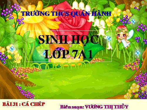 Bài 31. Cá chép
