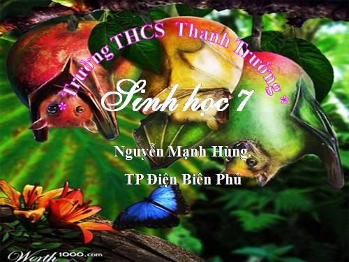 Bài 52. Thực hành: Xem băng hình về đời sống và tập tính của Thú