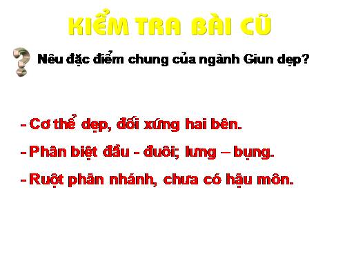 Bài 13. Giun đũa