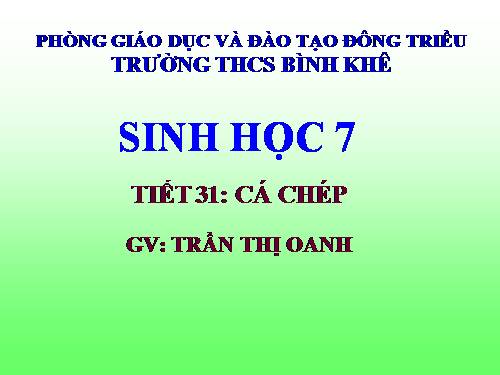 Bài 31. Cá chép