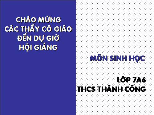 Bài 13. Giun đũa