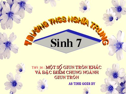 Bài 14. Một số giun tròn khác và đặc điểm chung của ngành Giun tròn