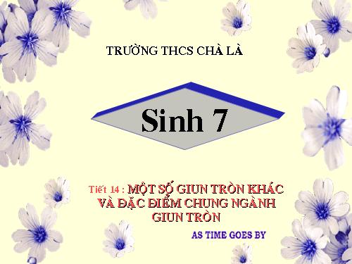 Bài 14. Một số giun tròn khác và đặc điểm chung của ngành Giun tròn