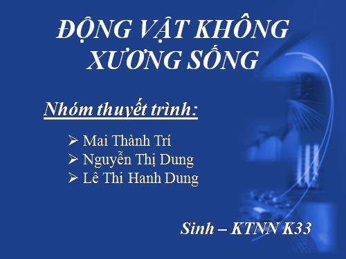 Bài 25. Nhện và sự đa dạng của lớp Hình nhện