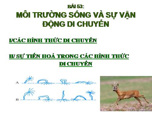 Bài 53. Môi trường sống và sự vận động, di chuyển