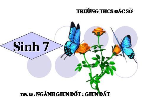 Bài 15. Giun đất
