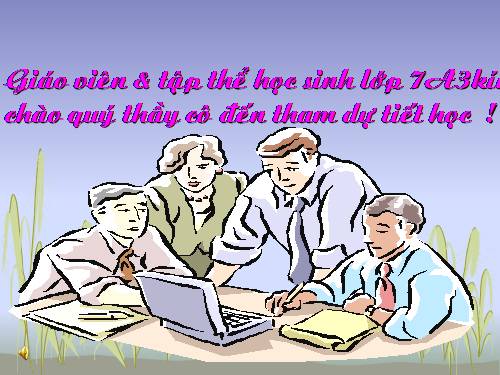Bài 49. Đa dạng của lớp Thú: Bộ Dơi và bộ Cá voi