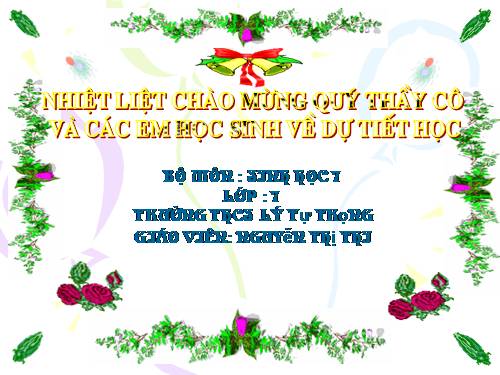 Bài 43. Cấu tạo trong của chim bồ câu