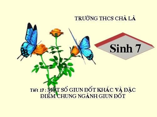 Bài 17. Một số giun đốt khác và đặc điểm chung của ngành Giun đốt