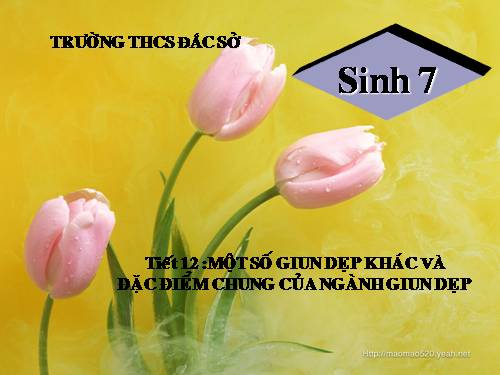 Bài 12. Một số giun dẹp khác và đặc điểm chung của ngành Giun dẹp