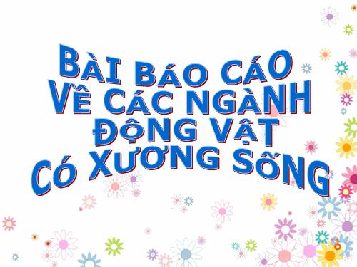 Hình ảnh đẹp về các động vật + tên khoa học