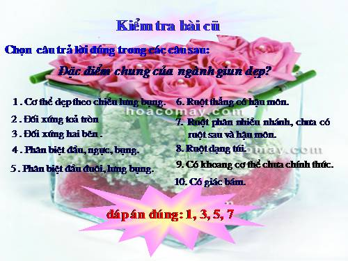 Bài 13. Giun đũa
