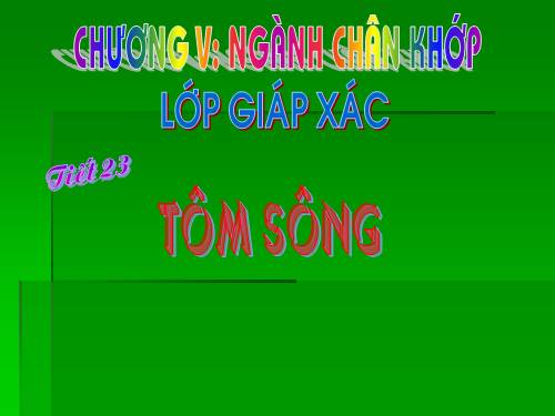 Bài 22. Tôm sông