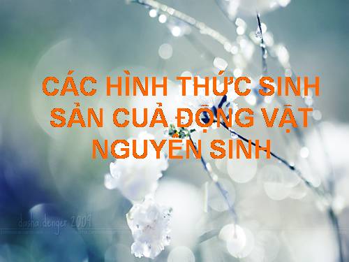 động vật nguyên sinh