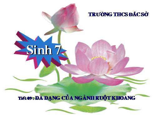 Bài 9. Đa dạng của ngành Ruột khoang