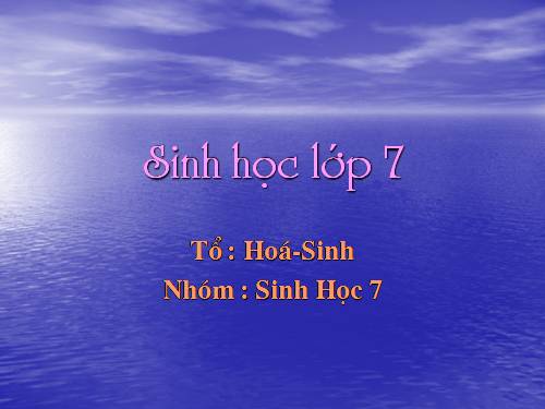 Bài 12. Một số giun dẹp khác và đặc điểm chung của ngành Giun dẹp
