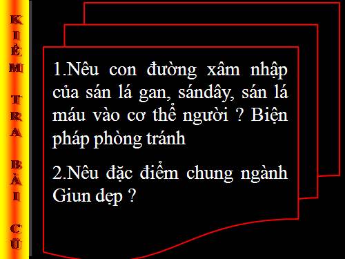 Bài 13. Giun đũa