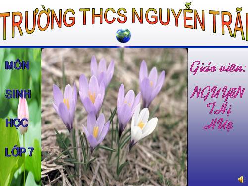 Bài 51. Đa dạng của lớp Thú: Các bộ Móng guốc và bộ Linh trưởng