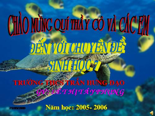 Bài 49. Đa dạng của lớp Thú: Bộ Dơi và bộ Cá voi