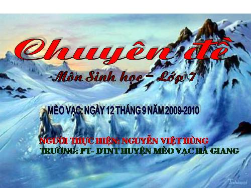 Bài 13. Giun đũa