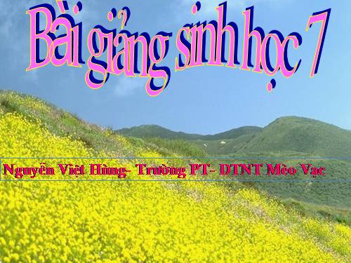 Bài 7. Đặc điểm chung và vai trò thực tiễn của Động vật nguyên sinh
