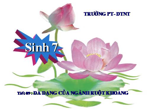 Bài 9. Đa dạng của ngành Ruột khoang