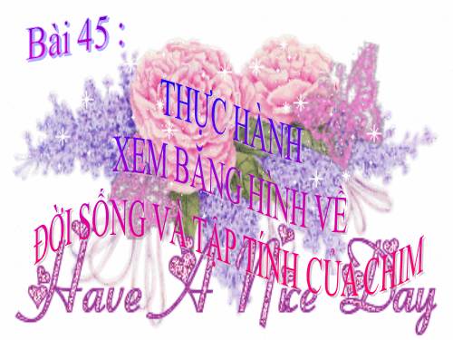 Bài 45. Thực hành: Xem băng hình về đời sống và tập tính của chim
