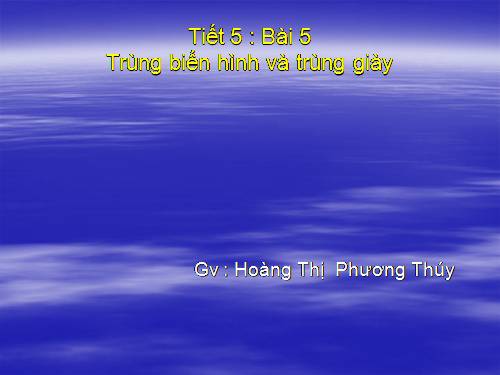 Bài 5. Trùng biến hình và trùng giày
