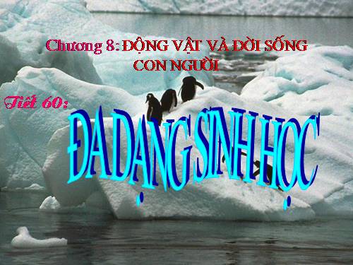 Bài 57. Đa dạng sinh học