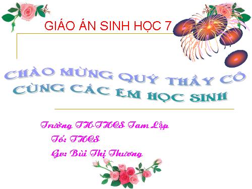 Bài 58. Đa dạng sinh học (tiếp theo)
