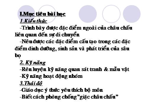 Bài 26. Châu chấu