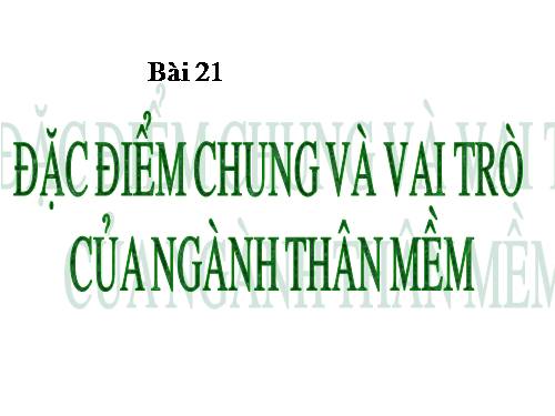 Bài 21. Đặc điểm chung và vai trò của ngành Thân mềm