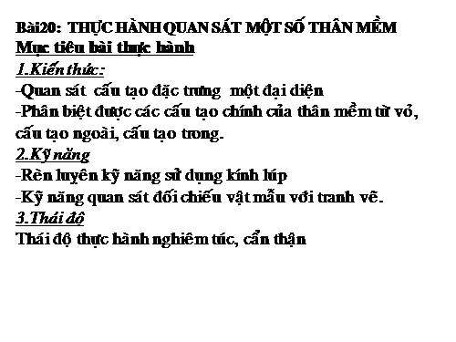 Bài 20. Thực hành: Quan sát một số thân mềm