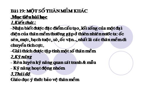 Bài 19. Một số thân mềm khác