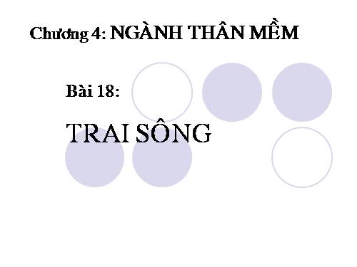 Bài 18. Trai sông