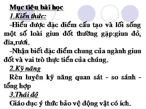 Bài 17. Một số giun đốt khác và đặc điểm chung của ngành Giun đốt