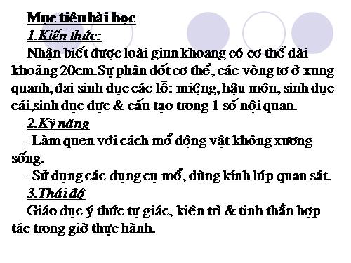 Bài 16. Thực hành: Mổ và quan sát giun đất