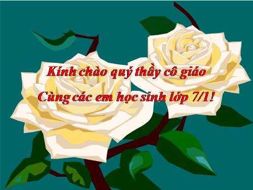 Bài 25. Nhện và sự đa dạng của lớp Hình nhện