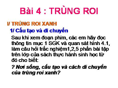 Bài 4. Trùng roi